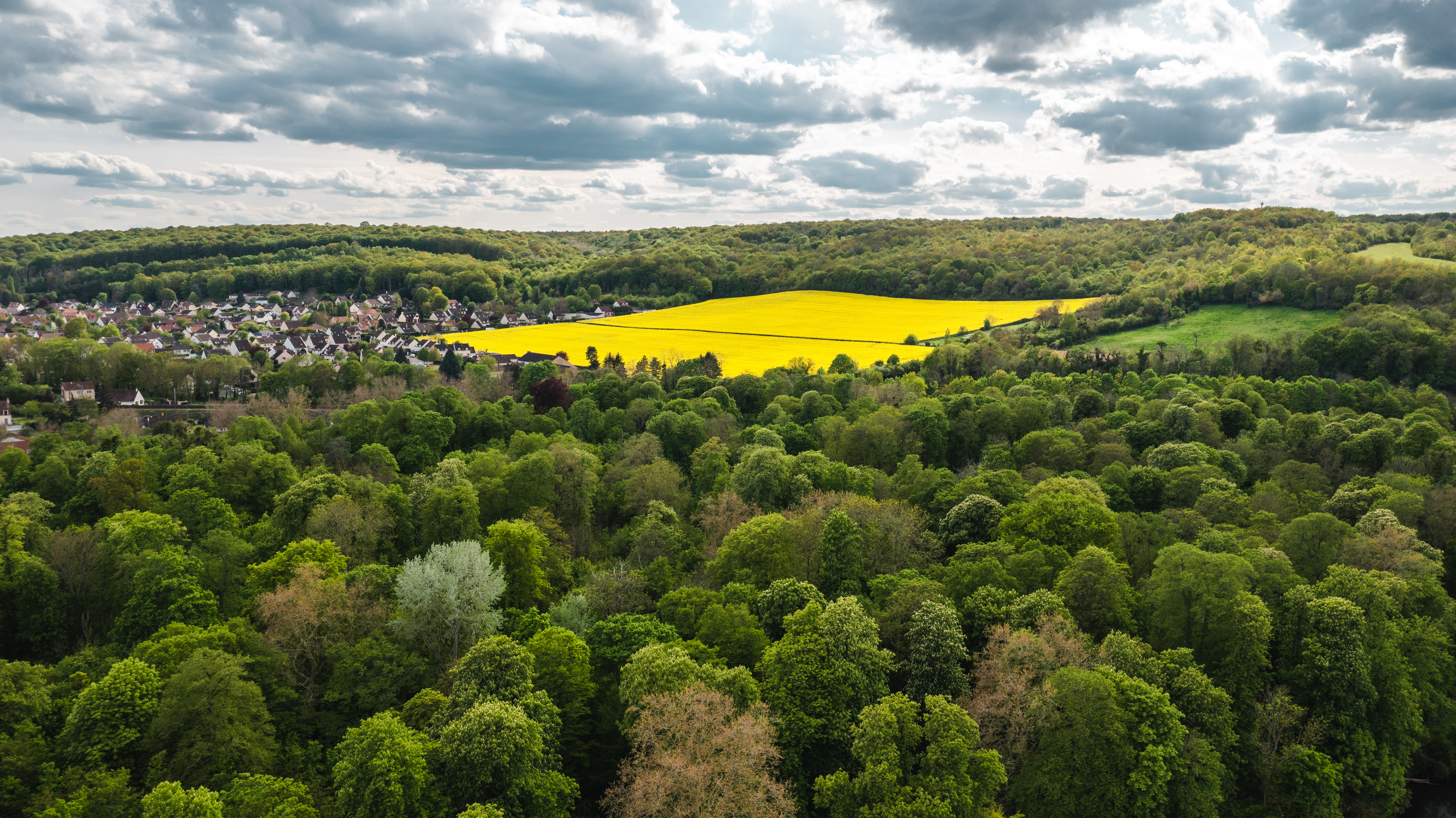 + de 12 000 Ha de forêt