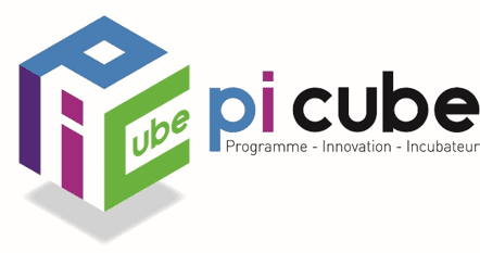 logo Picube