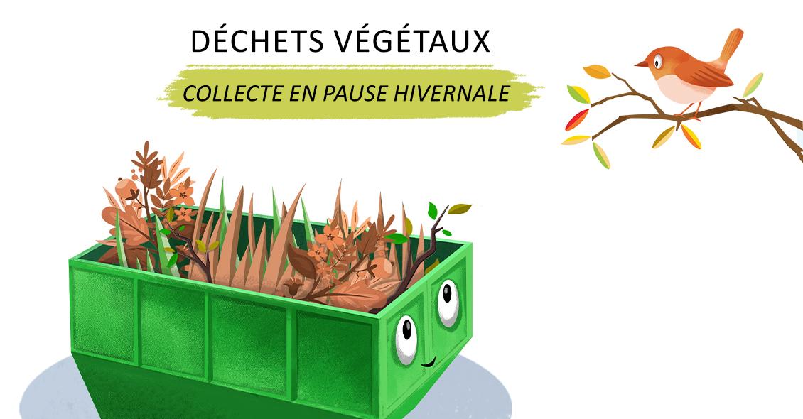 Pause hivernale de la collecte des déchets verts