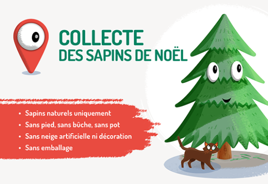 Collecte des sapins 2023