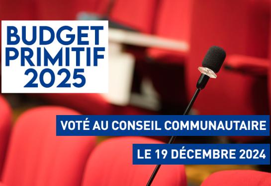 Budget primitif 2025 voté au conseil communautaire le 19 décembre 2025