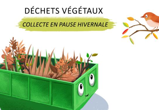 Pause hivernale de la collecte des déchets verts