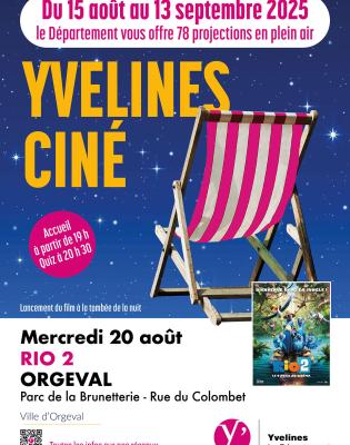 Affiche ciné plein air Rio 2
