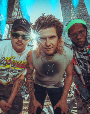 Too many zooz