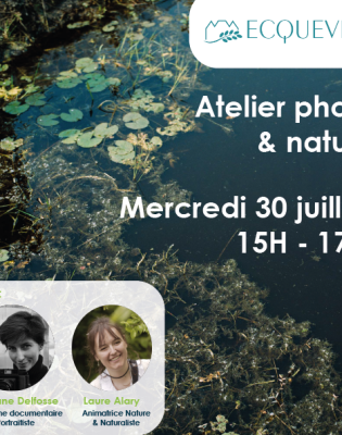 atelier photo bibliotheque ecquevilly