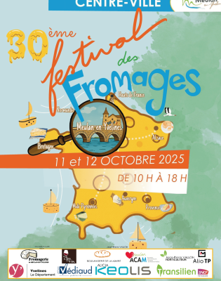 Affiche FF25