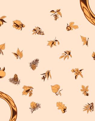 variétés d'arbres illustrées