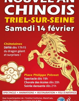 Affiche Nouvel An chinois 2026