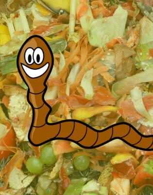 Les mercredis des éco-champions : À la découverte du compost et lombricompost