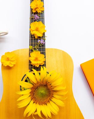 guitare et fleur de tournesol