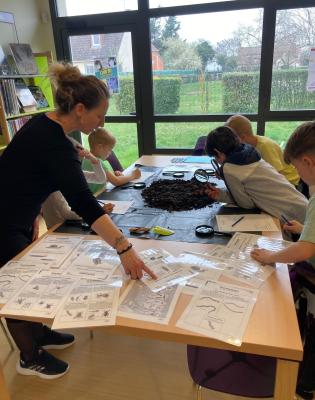 Les petites bêtes du composteur 