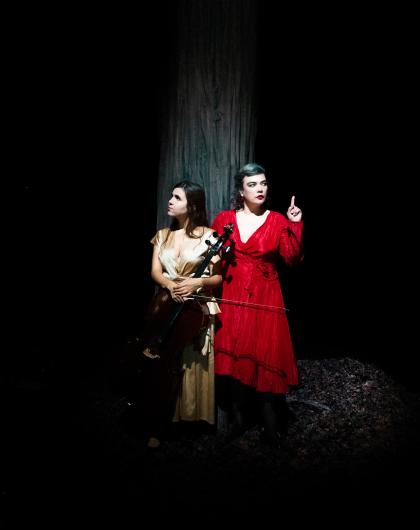 Birds on a wire image 1