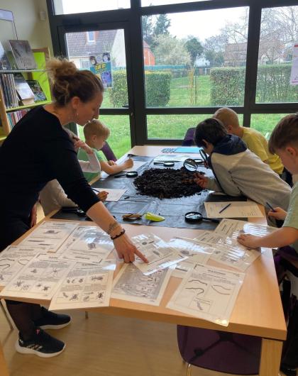 Les petites bêtes du composteur 