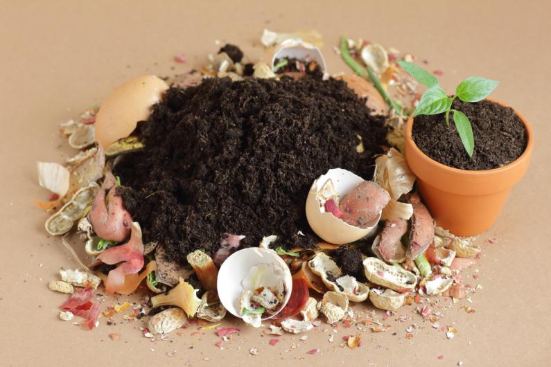 Compost