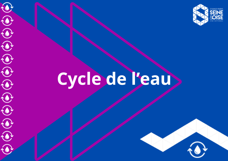 compétence cycle de l'eau