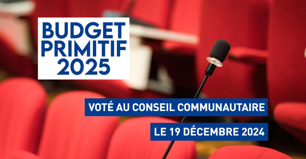 Budget primitif 2025 voté au conseil communautaire le 19 décembre 2025