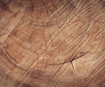 Conférence le bois jeudi 18 septembre 2025 à 14h