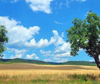 Paysages et espaces naturels : les poumons du territoire 