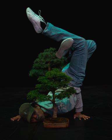 Atelier infusion danse 