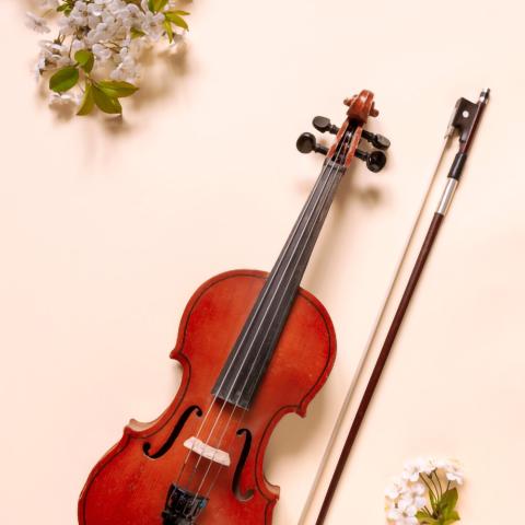 violon et fleurs