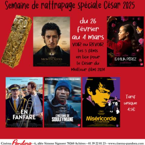 Affiche des films en lice pour le César