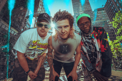 Too many zooz