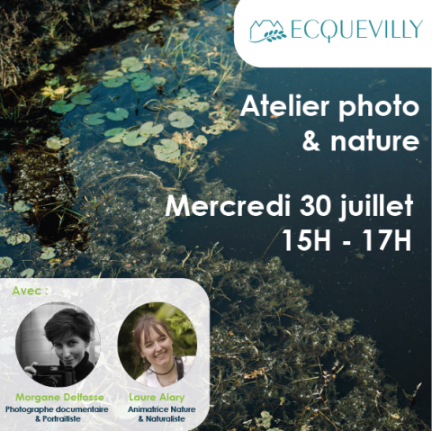 atelier photo bibliotheque ecquevilly