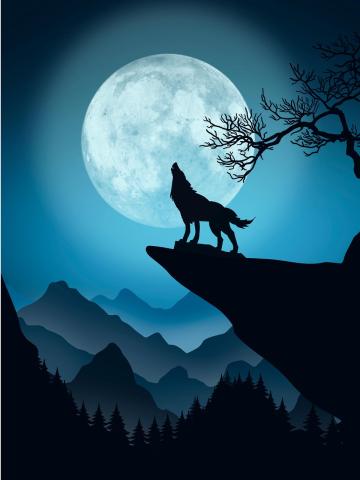 Illustration d'un loups-graou