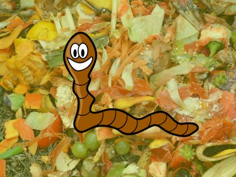 Les mercredis des éco-champions : À la découverte du compost et lombricompost
