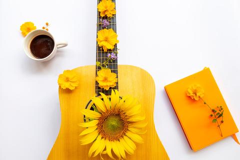 guitare et fleur de tournesol