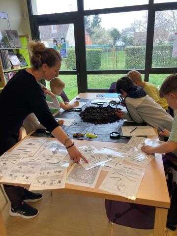 Les petites bêtes du composteur 