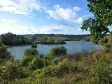 Espace naturel régional de Flicourt à Guernes