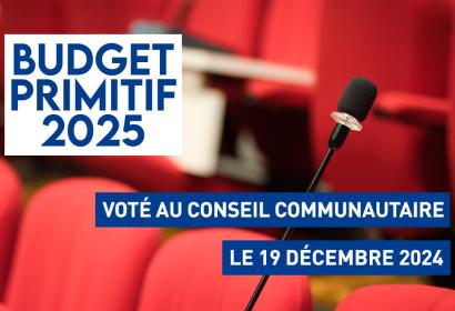 Budget primitif 2025 voté au conseil communautaire le 19 décembre 2025