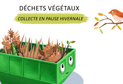 Pause hivernale de la collecte des déchets verts