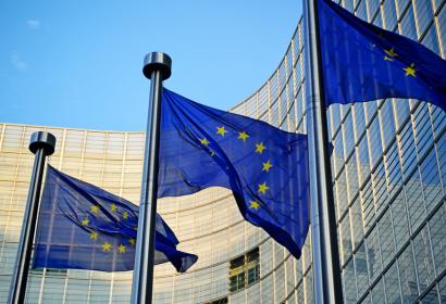 Drapeaux européens devant le parlement